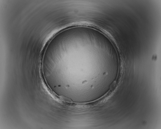 X0000115350989200911241149