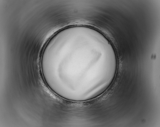 X0000115350990200911241149