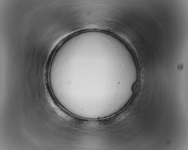 X0000115350991200911241149