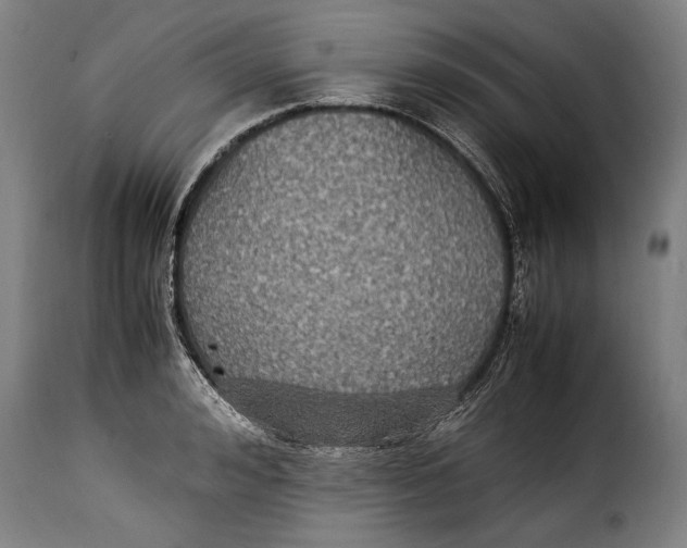 X0000115350992200911241149