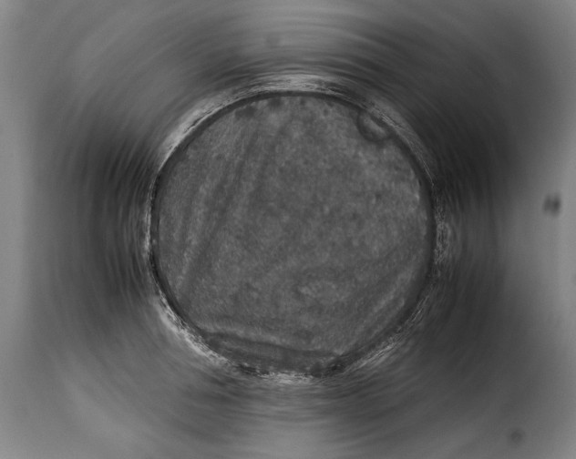 X0000115350994200911241149