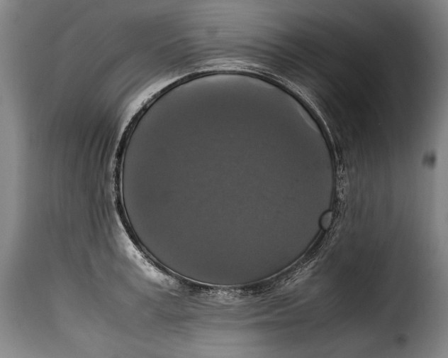 X0000115350995200911241149