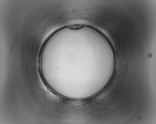 X0000115350999200911241149