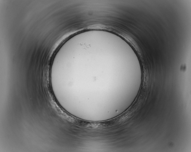 X0000115351000200911241149