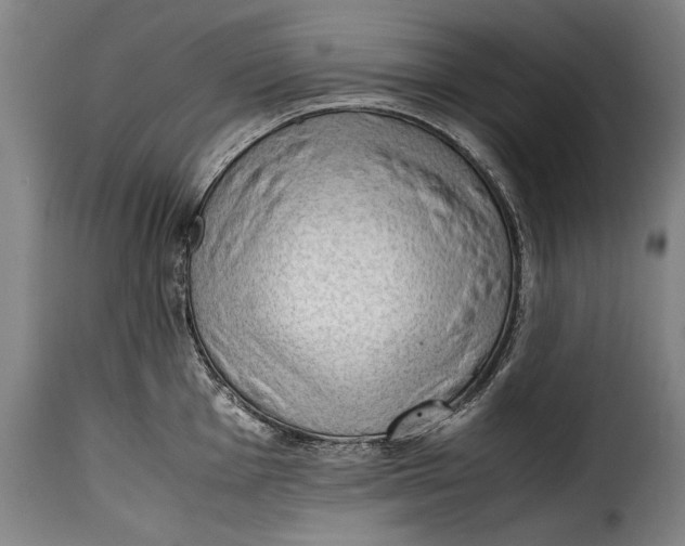 X0000115351001200911241149