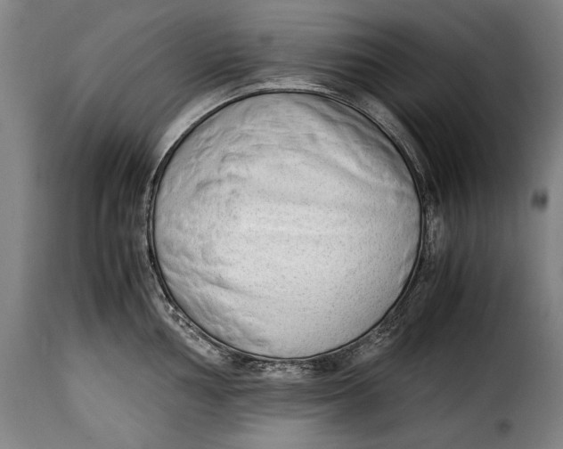 X0000115351002200911241149