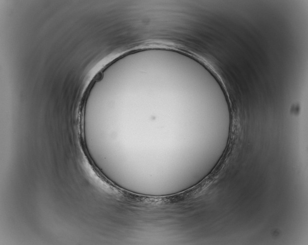X0000115351003200911241149