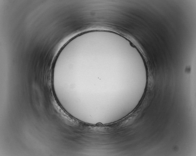 X0000115351004200911241149