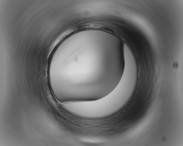 X0000115351005200911241149