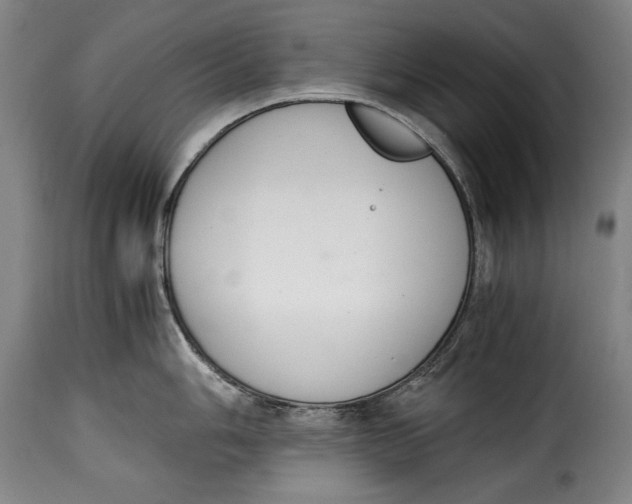 X0000115351006200911241149