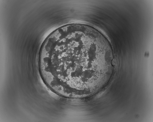 X0000115351007200911241149
