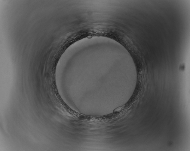 X0000115351009200911241148