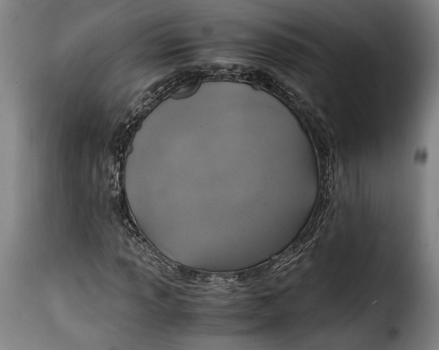 X0000115351013200911241148