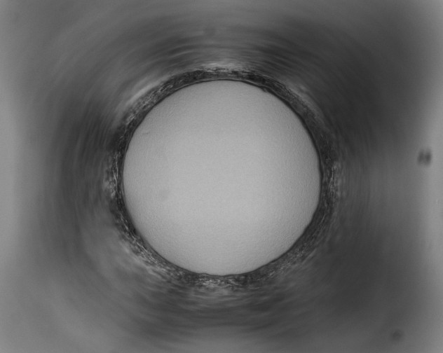 X0000115351015200911241148