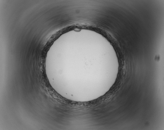 X0000115351016200911241148