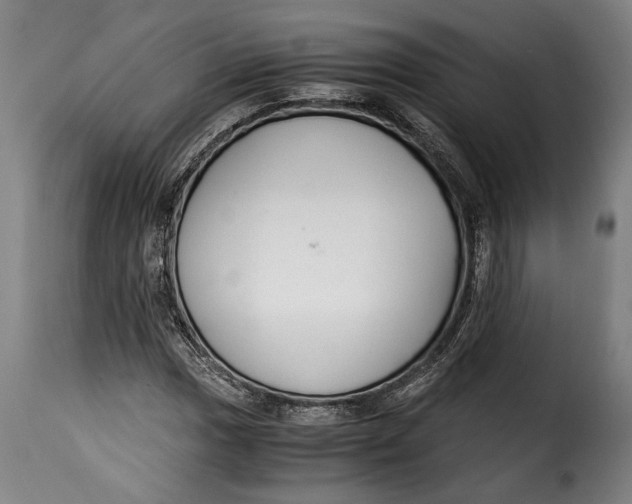 X0000115351017200911241148