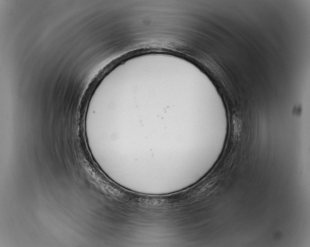X0000115351020200911241148