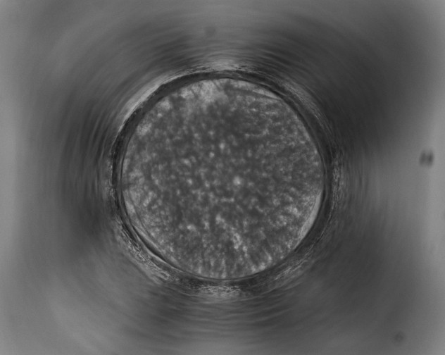 X0000115351023200911241148