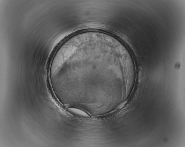 X0000115351024200911241148