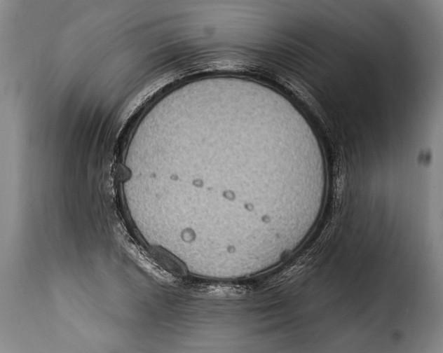 X0000115351026200911241148