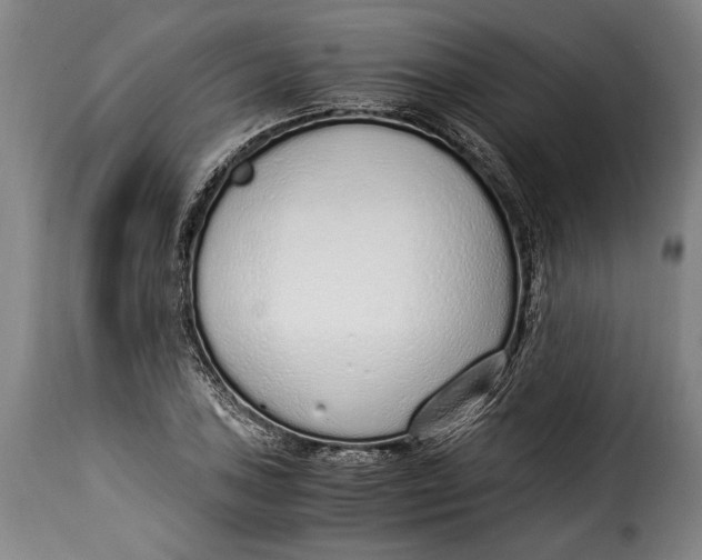 X0000115351027200911241148