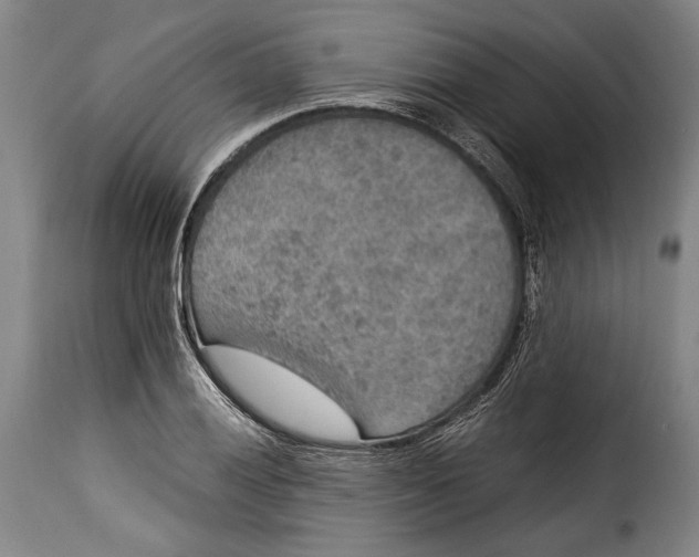 X0000115351028200911241148