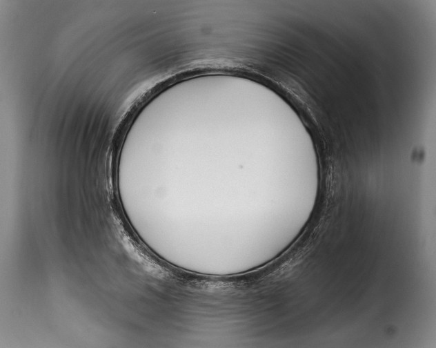 X0000115351030200911241148