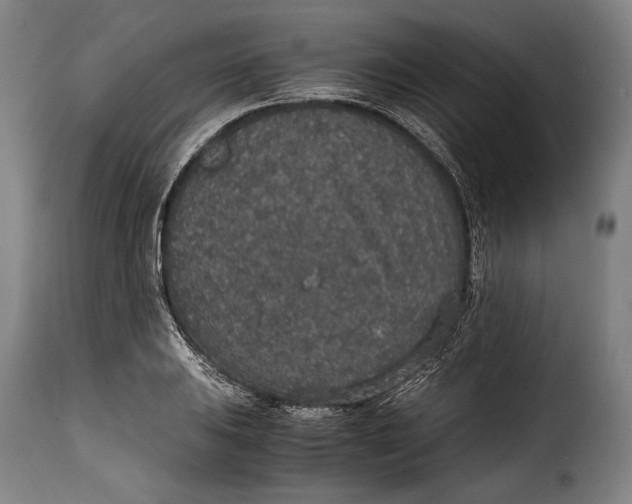 X0000115351031200911241148