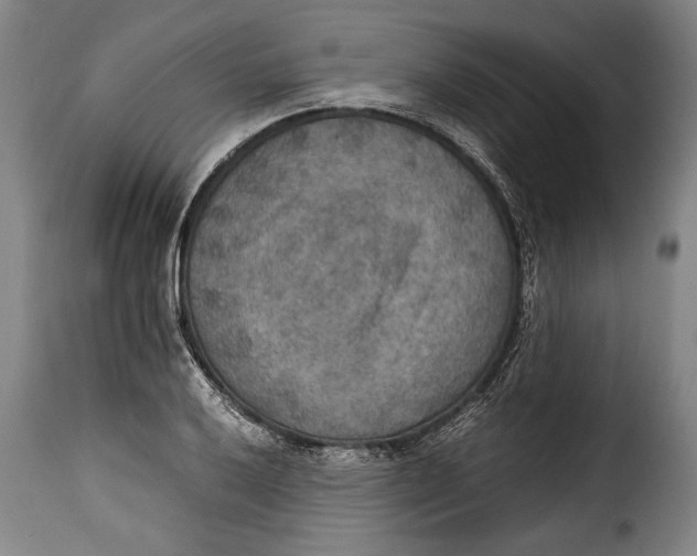 X0000115351032200911241148