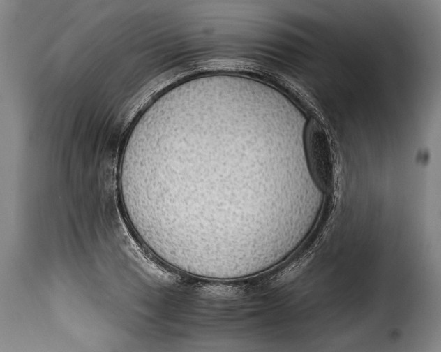 X0000115351033200911241148