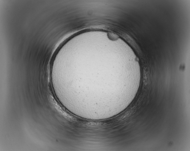X0000115351036200911241148