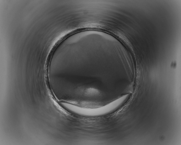 X0000115351037200911241148