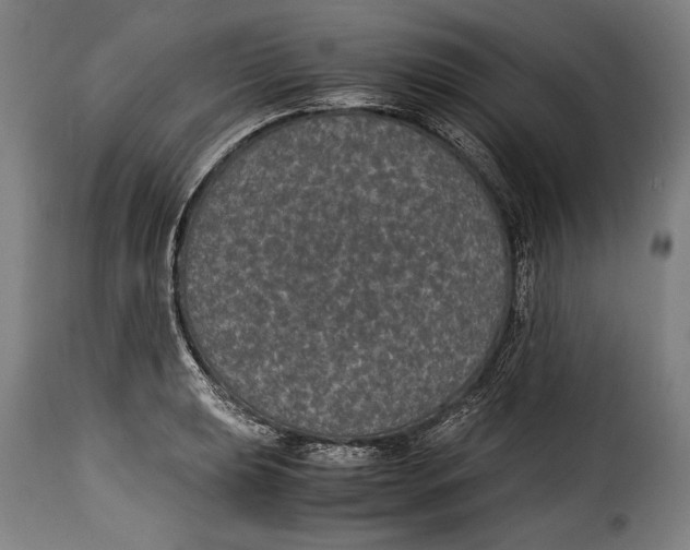 X0000115351039200911241148