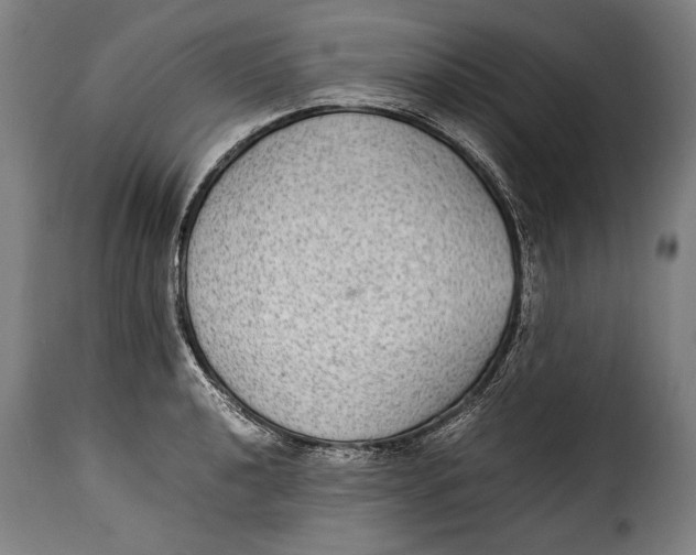 X0000115351040200911241148