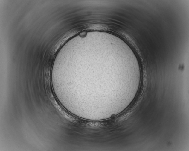 X0000115351041200911241148