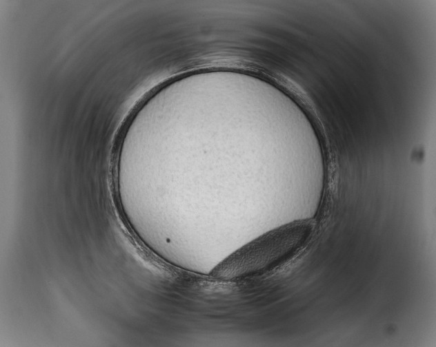 X0000115351043200911241148