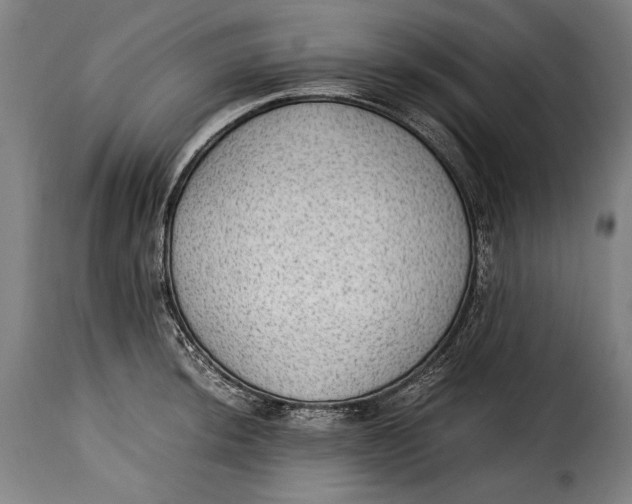 X0000115351044200911241148