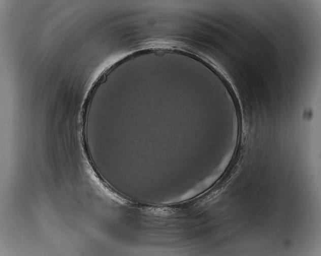 X0000115351045200911241148