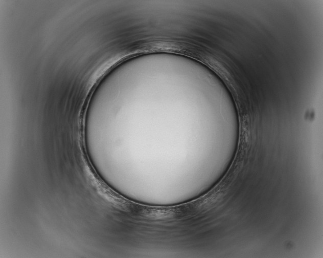 X0000115351047200911241148
