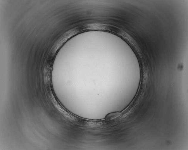 X0000115351049200911241148