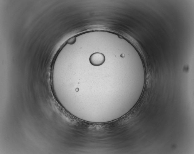 X0000115351051200911241148