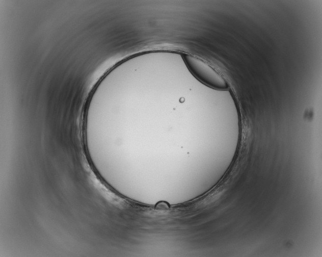 X0000115351054200911241148
