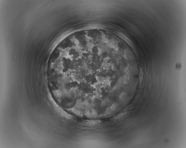 X0000115351055200911241148