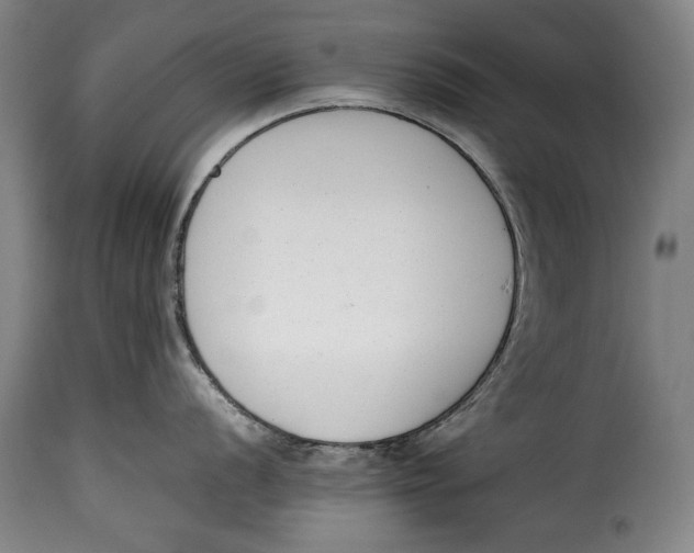 X0000115351056200911241148