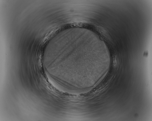 X0000115351060200911241148