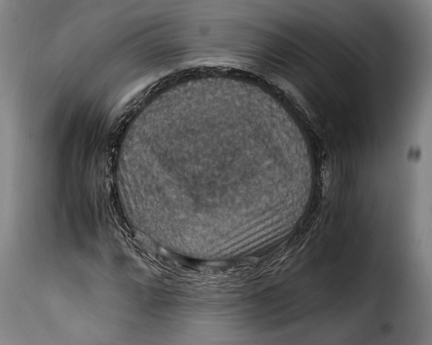 X0000115351064200911241148