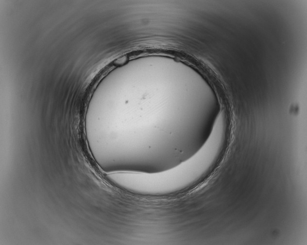 X0000115351065200911241148