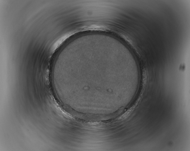 X0000115351066200911241148