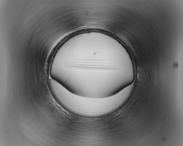 X0000115351068200911241148