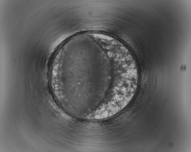 X0000115351071200911241147